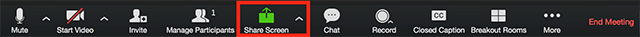 Zoom meeting controls bar highlighting the screen sharing button.