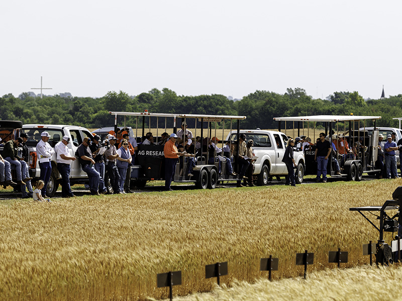 People join OSU Agriculture for Lahoma Field Day.