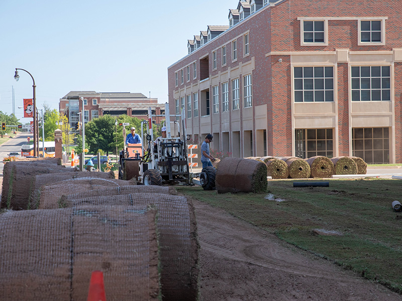 Rolls of sod outside new building