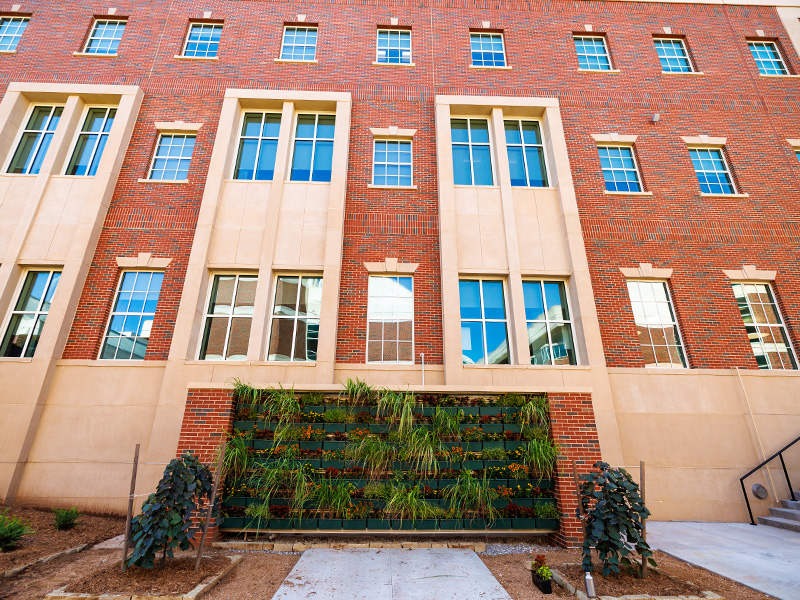 Living plant wall on the east side of Agricultural Hall
